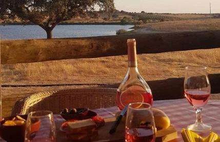 Monte da Figueira - Foto 40