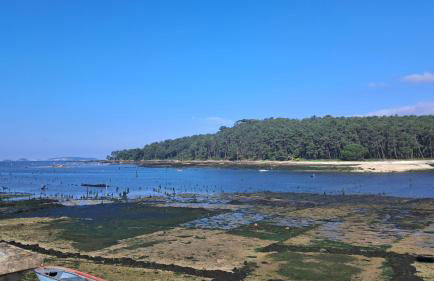 Casa Cortegada - Foto 43