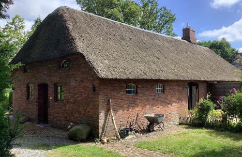 Ferienwohnung-Austernfischer - Foto 3