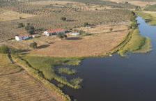 Monte da Figueira - Foto 11