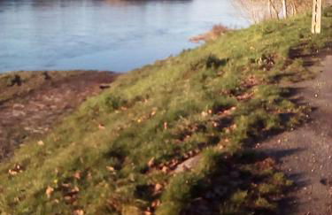 Le Logis d'Elisa - Foto 31