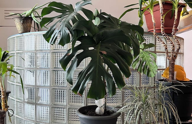 Loft Atelier au Style Vintage - Foto 17