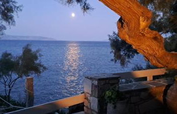 Dinas Inn - Photo 57