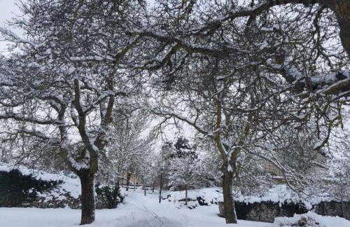 CASA RURAL. COVARACINO OJO GUAREÑA - Photo 51