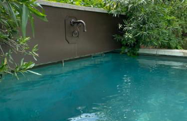 LES SANTOLINES - Studio Retro - Foto 12