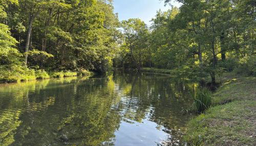 Fishing Trips and Waterfall Hikes! Alleghany Cottage - Foto 2