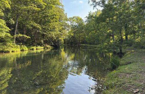 Virginia Nature Escape! Cozy Covington Cabin - Foto 26