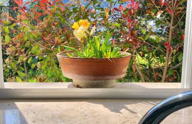 Villa Joyosa Apartments - Photo 20