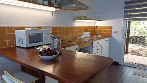 Dos Violetas - Foto 3