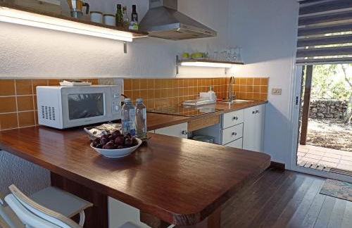 Dos Violetas - Foto 3