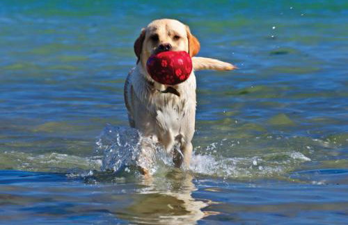 Seascape Hope Cove - Foto 35