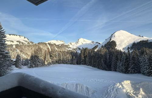 Studio au cœur du Praz-de-Lys - Les Pralyssimes - Foto 8
