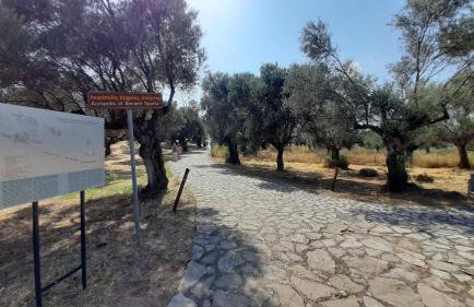 King AGIS 2 - Foto 40