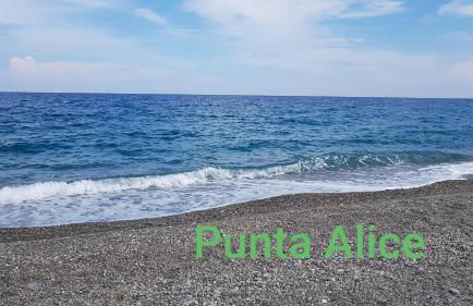 Una finestra sul glicine - Foto 22