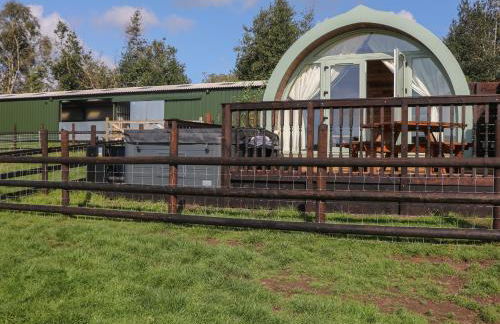 Belles View - Foto 19