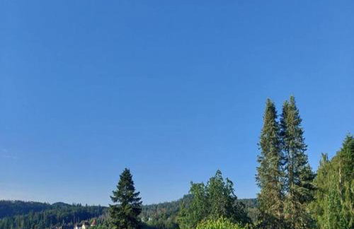 Apartment in Armsfeld With Pool - Foto 61