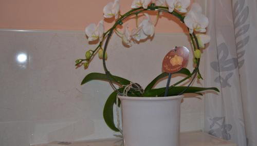 Double M Apartment - Foto 4