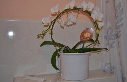 Double M Apartment - Foto 4