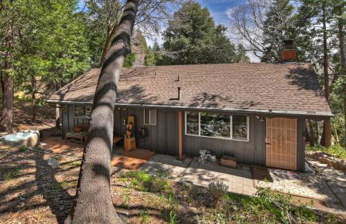 The Lazy Bear Cabin - For 6 - Foto 30