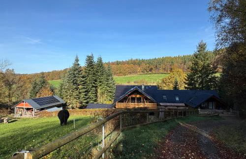 Entspannung im Wald - mit Schwimmbad - Foto 32