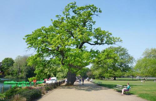 Luxury 1-Bed Apartment in sought after prime London location - Photo 16