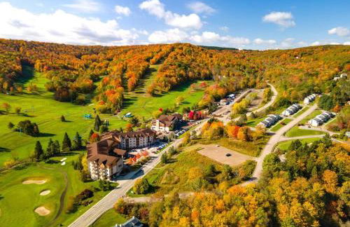 Chair Lift Lodge- Best Location in EVL Village! - Foto 27