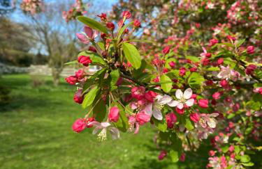Newly renovated Stables conversion - Foto 32