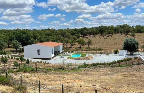 Herdade Terra rica - Photo 58