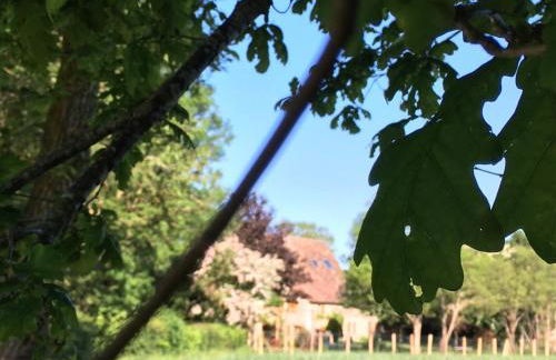 La Gentillere “Ancien Ermitage”PNR du Perche 3 * - Foto 38