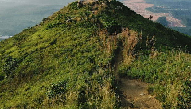 Hiking on Broga Hill - Foto 3