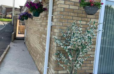 Mountain View - Foto 11