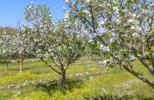 Aroggia Farm - Foto 9