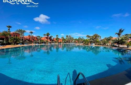 Tamarindo Blumarine - pool & wifi free 4 persons - Photo 25