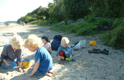 Ferienhof Gintoft - Foto 10