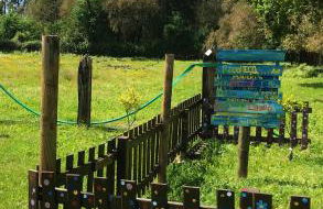 Quinta Padre Lobo - Foto 18