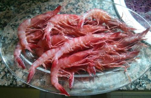 Costahispania 308 - Foto 28