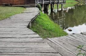 Apartman Abramović - Foto 29