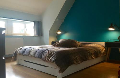 Meublés de Tourisme Heidelbeere - Foto 3