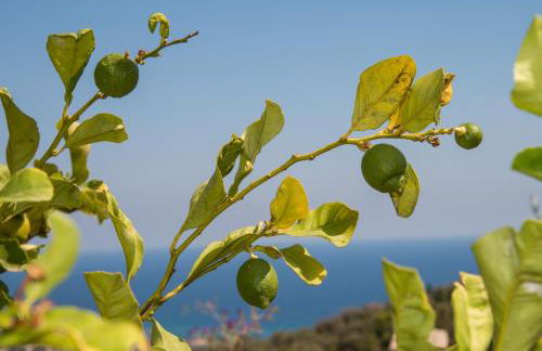 Villa Annetta - Foto 71