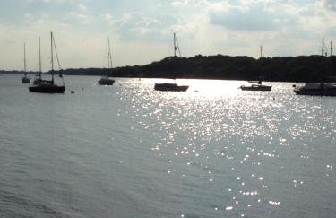 The Old Dairy Steep,Petersfield in Collyers Estate in the South Downs National park - Foto 19