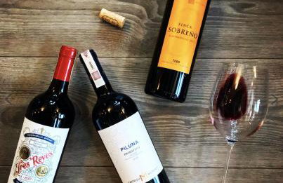 Dwór Sulejów - Photo 6