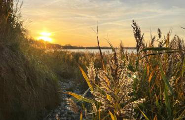 Ferienwohnung Ankerleicht - Foto 40