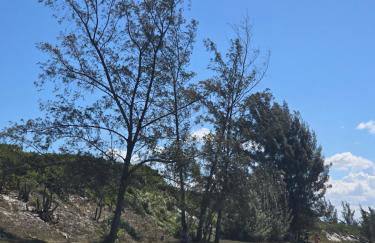 Casa em Praia Seca com Quintal - Foto 35