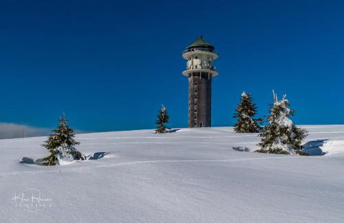 Fewo Sunneschii, Höchenschwand, Dorf am Himmel, Sauna im Haus - Foto 18