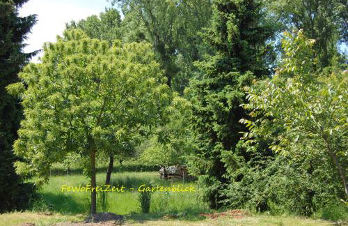 FeWoFreiZeit - Foto 19