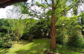 Domek pod Wiewiórką digital detox & balance - Foto 8