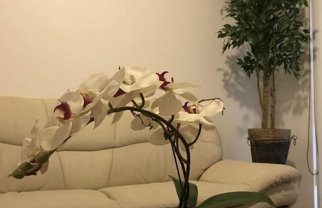 Sydney Premium Accomodations - Central - Foto 8