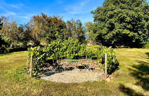 Ruhige Ferienwohnung auf dem Delcherhof in der Mosel-Weinregion - Foto 21