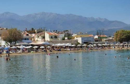 Lemon Tree House - Photo 25