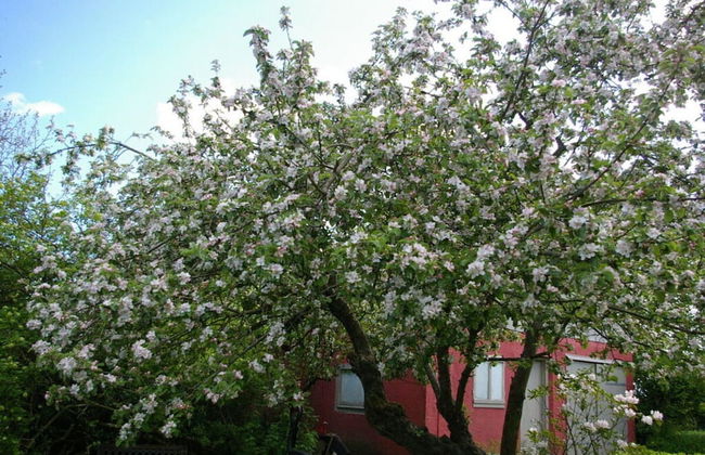 Holiday Home Rike Comfortable Vacation Home - Foto 32